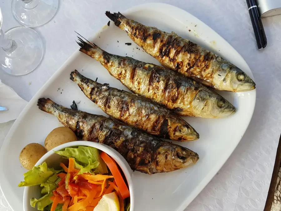 Sardynki i makrela